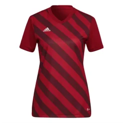 Adidas Entrada 22 Graphic Trikot