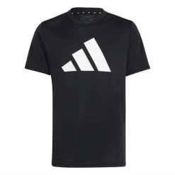 Adidas Train Essentials AEROREADY Logo Regular-Fit T-Shirt